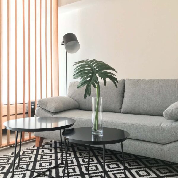 detallesIMG_3083 (9)